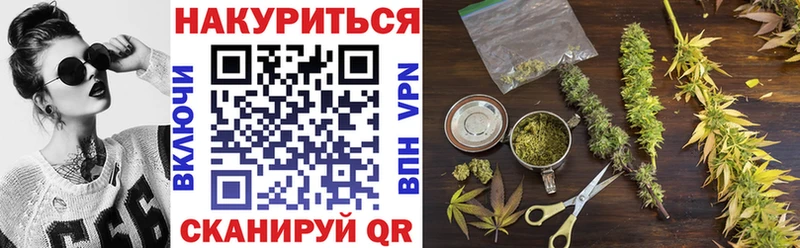 Купить где  Междуреченск  Каннабис сатива 